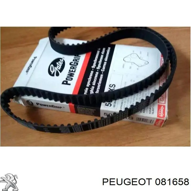Juego de correas dentadas Peugeot/Citroen 081658 precio, desde 64,15 EUR