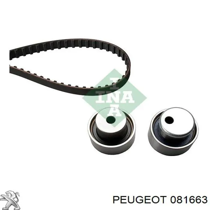 Correa distribución 081663 Peugeot/Citroen