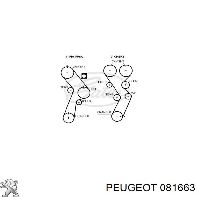 081663 Peugeot/Citroen Correa dentada