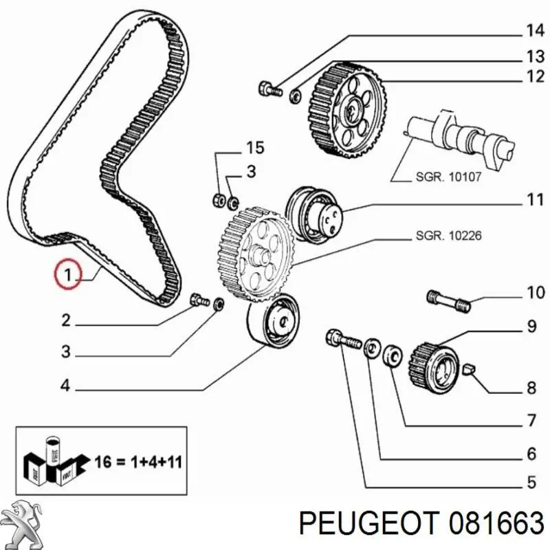 Correa de distribución Peugeot/Citroen 081663 precio, desde 23,22 EUR