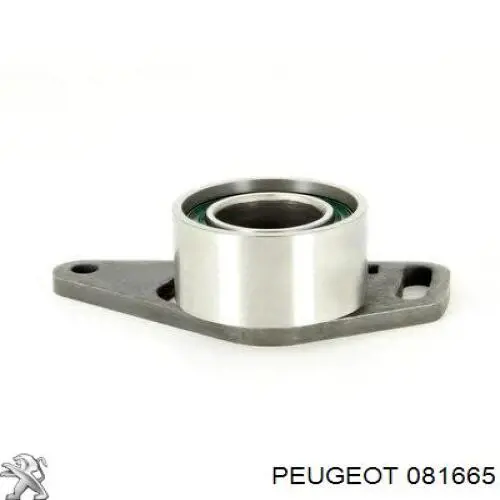 081665 Peugeot/Citroen Correa dentada