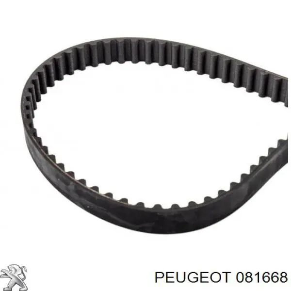 Comprar 81668 Peugeot/Citroen Correa distribución