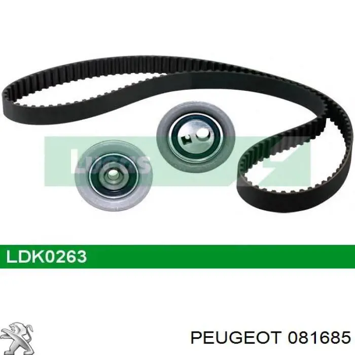 Correa de distribución Continental/Siemens CT864 precio, desde 22,03 EUR