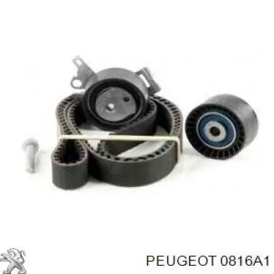 96350076 Peugeot/Citroen Correa dentada