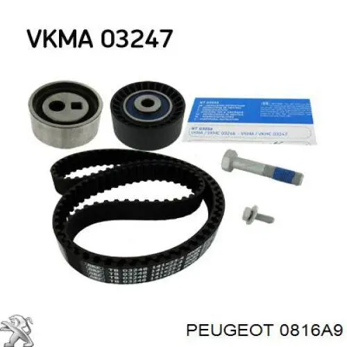 Correa de distribución Peugeot/Citroen 0816A9 precio, desde 26,32 EUR