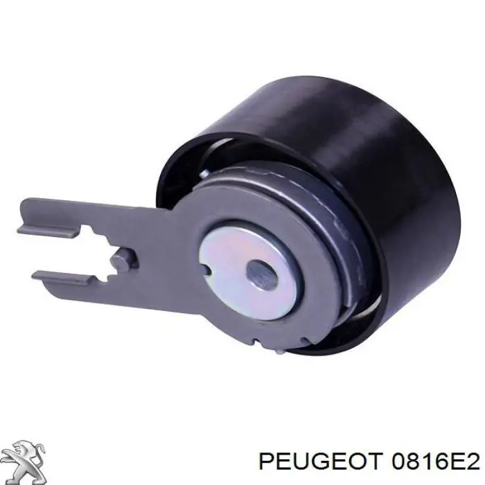 Correa distribucion Ford Fiesta JH, JD