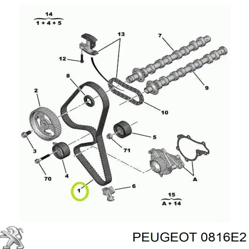 Correa distribucion Ford Fiesta JH, JD