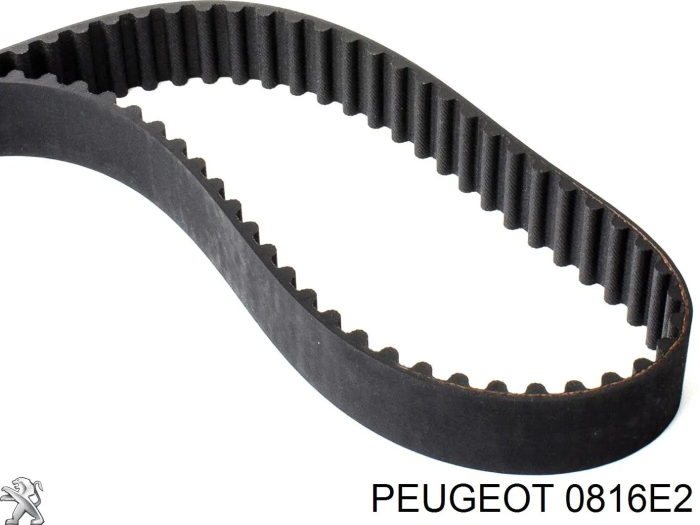 Correa distribucion Ford Fiesta JH, JD