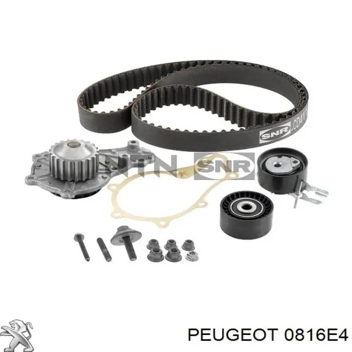Correa de distribución Peugeot/Citroen 0816E4 precio, desde 32,00 EUR