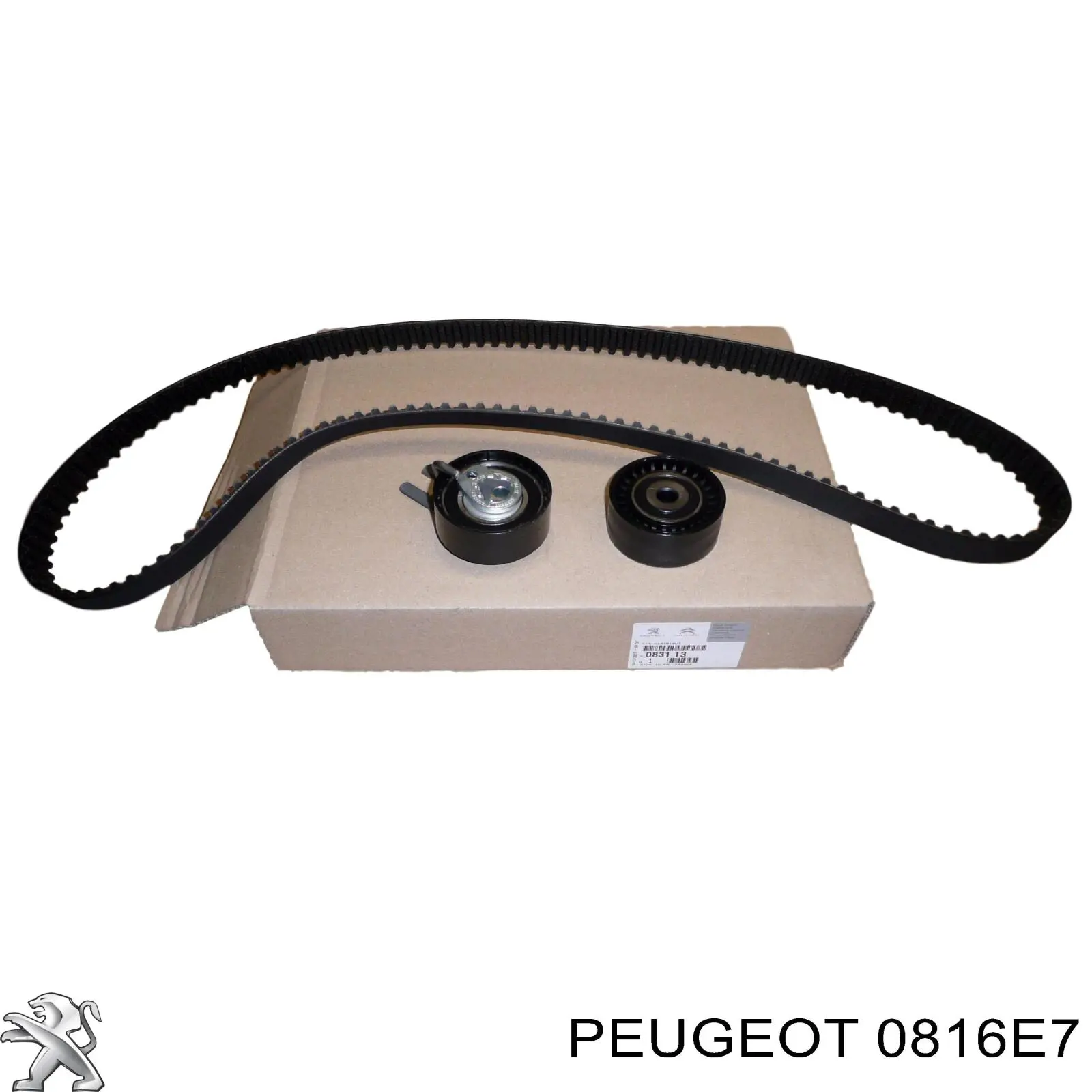 Correa de distribución Peugeot/Citroen 0816E7 precio, desde 25,80 EUR