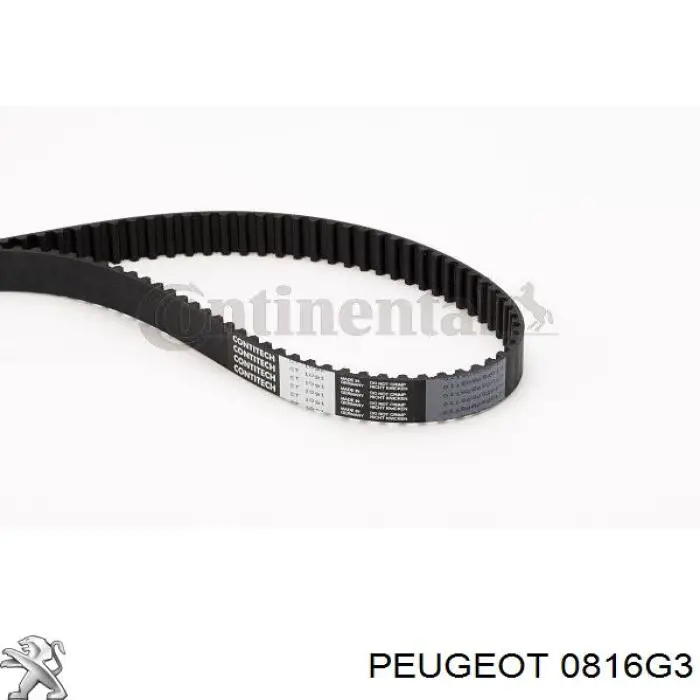 Correa de distribución Peugeot/Citroen 0816G3 precio, desde 34,11 EUR