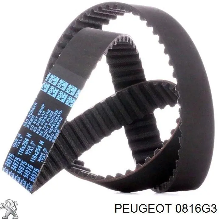Comprar 0816G3 Peugeot/Citroen Correa distribución