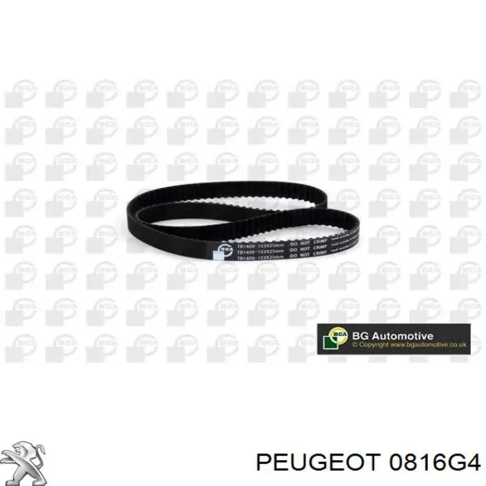 Correa de distribución Peugeot/Citroen 0816G4 precio, desde 38,23 EUR