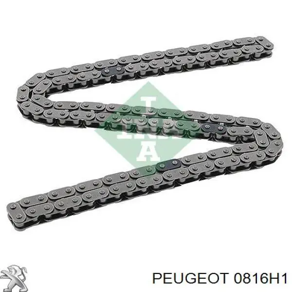 0816H1 Peugeot/Citroen cadena de distribución