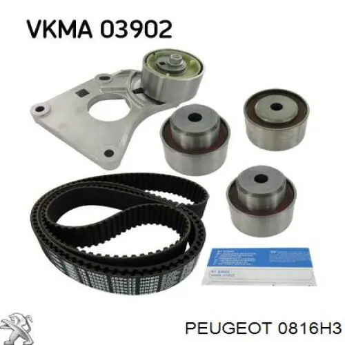 Correa de distribución Peugeot/Citroen 0816H3 precio, desde 60,78 EUR