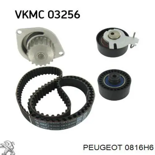 Correa de distribución Peugeot/Citroen 0816H6 precio, desde 25,05 EUR