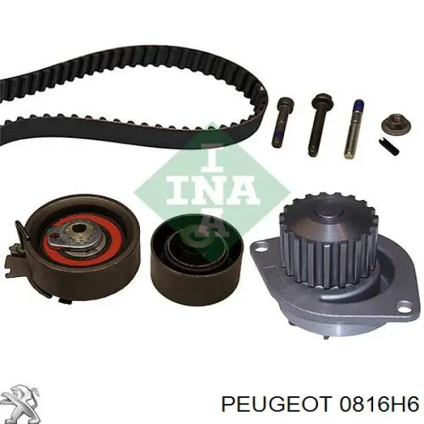 Comprar 0816H6 Peugeot/Citroen Correa distribución