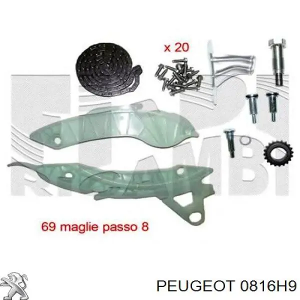 0816H9 Peugeot/Citroen Juego de cadena de distribución