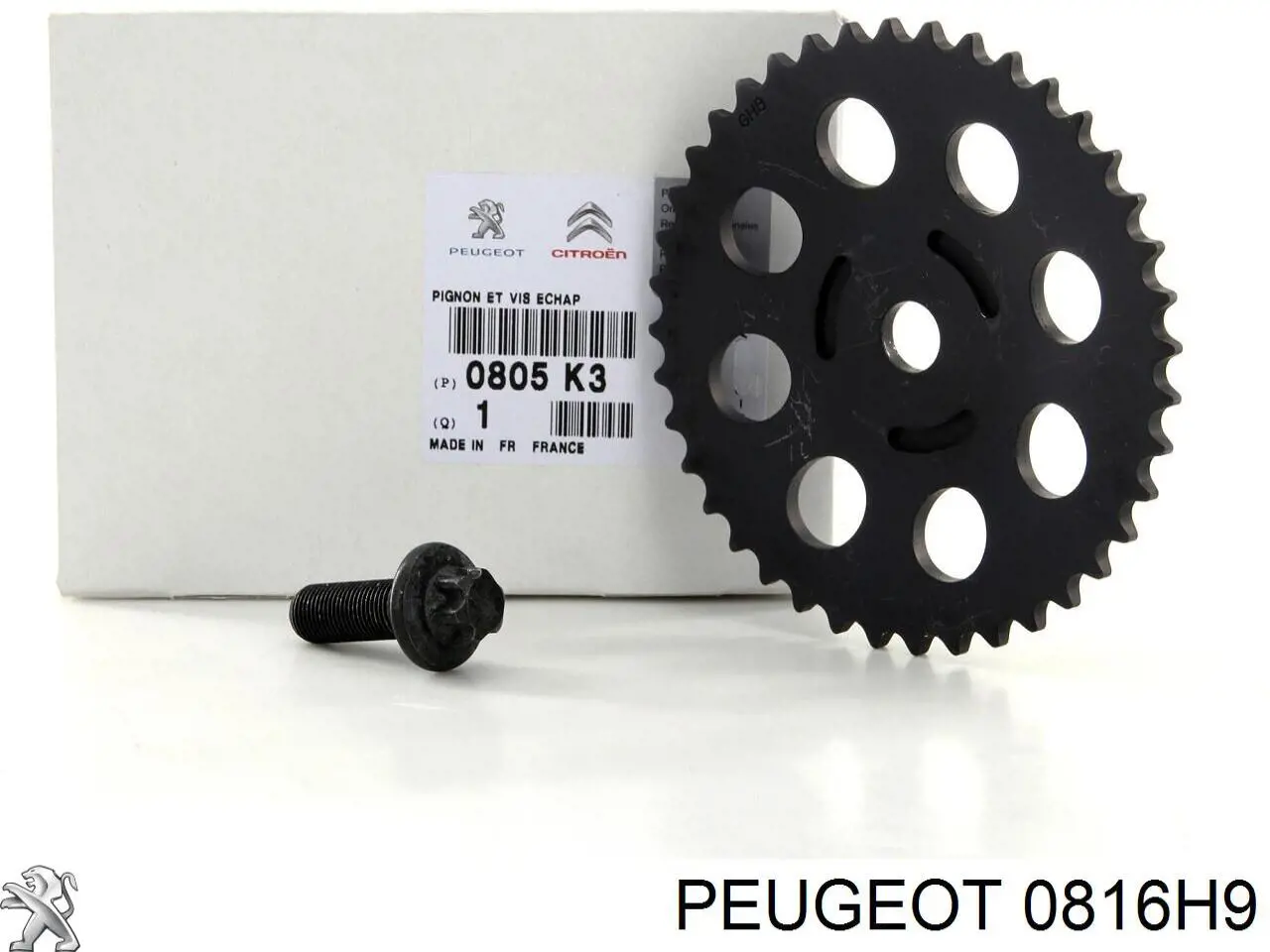 Kit de cadena de distribución Peugeot/Citroen 0816H9 precio, desde 113,65 EUR
