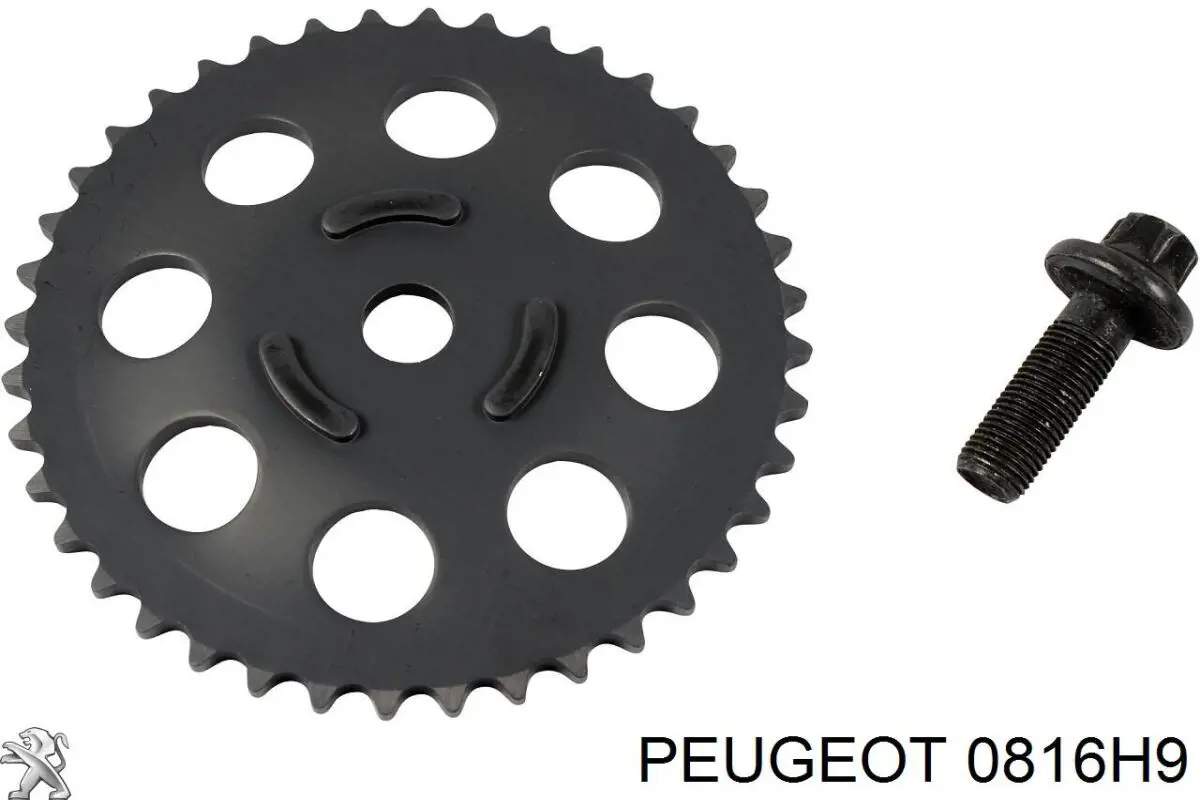 Comprar 0816H9 Peugeot/Citroen Kit de cadena de distribución