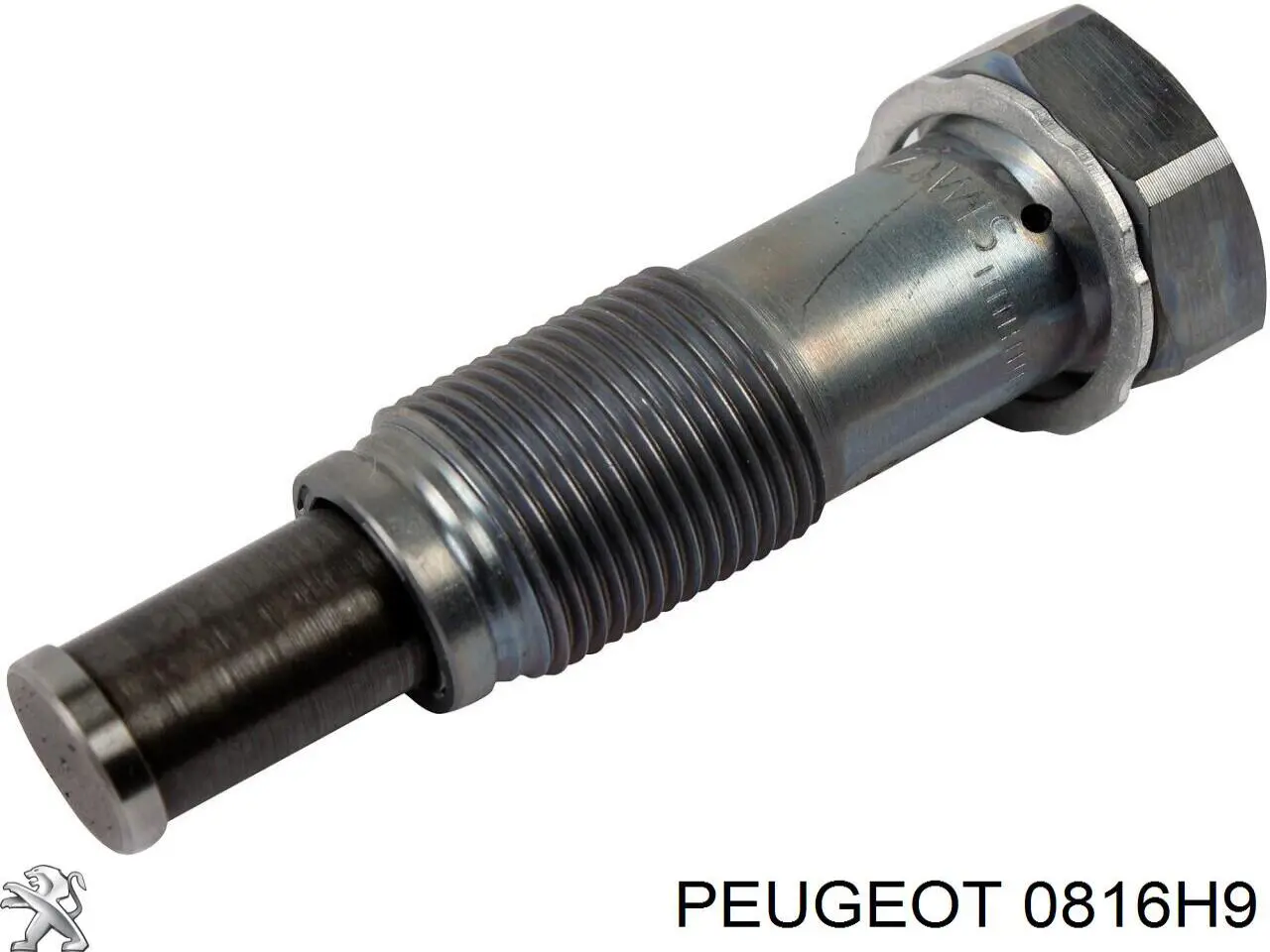 Kit de cadena de distribución 0816H9 Peugeot/Citroen
