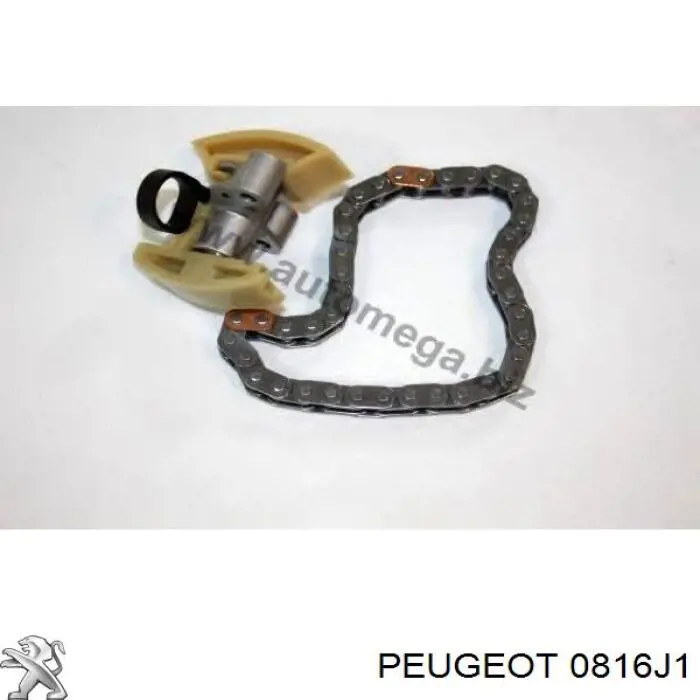 Cadena de distribución superior, kit Peugeot/Citroen 0816J1 precio, desde 50,97 EUR