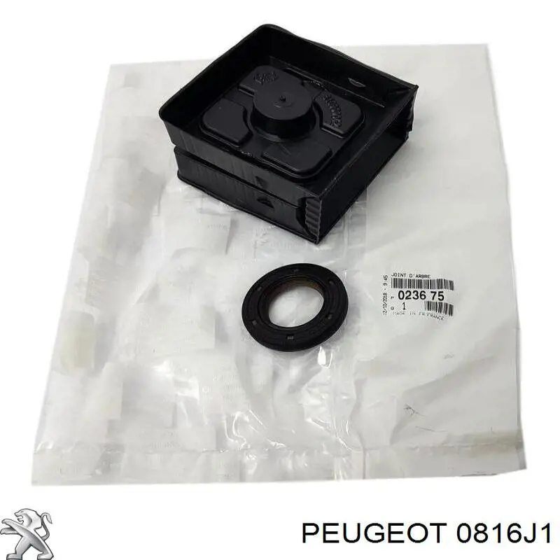 Cadena de distribución superior, kit Peugeot/Citroen 0816J1