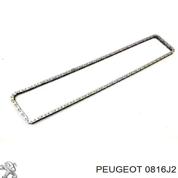 Cadena de distribución 816J2 Peugeot/Citroen