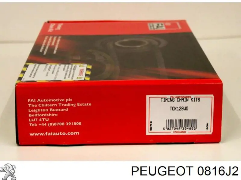 Comprar 816J2 Peugeot/Citroen Cadena de distribución