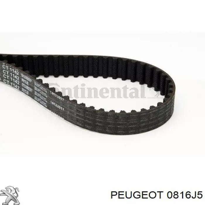 Correa de distribución Peugeot/Citroen 0816J5 precio, desde 44,47 EUR