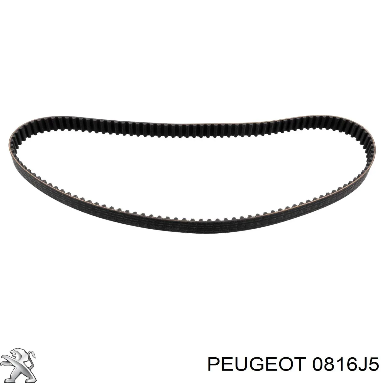 Comprar 0816J5 Peugeot/Citroen Correa distribución