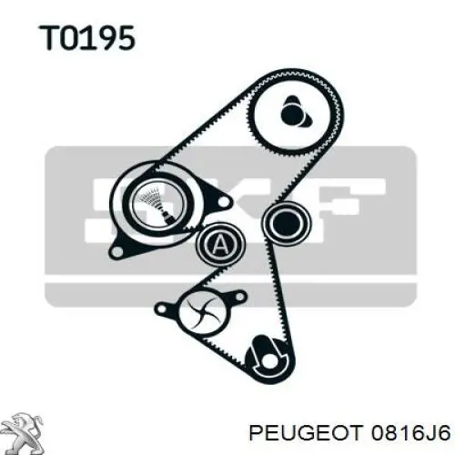 Correa distribucion Ford Fiesta JH, JD