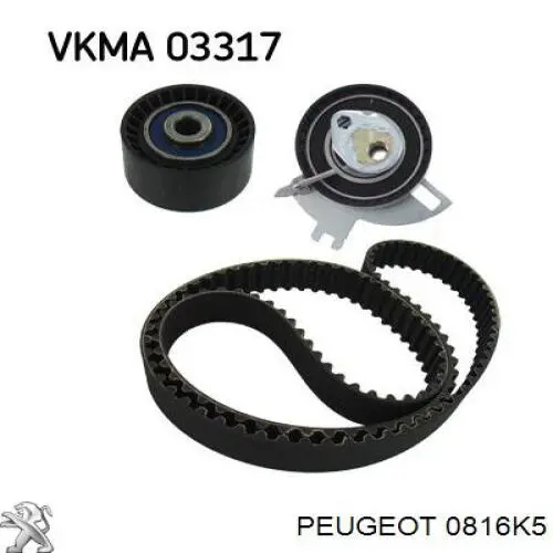 Comprar 0816K5 Peugeot/Citroen Correa distribución
