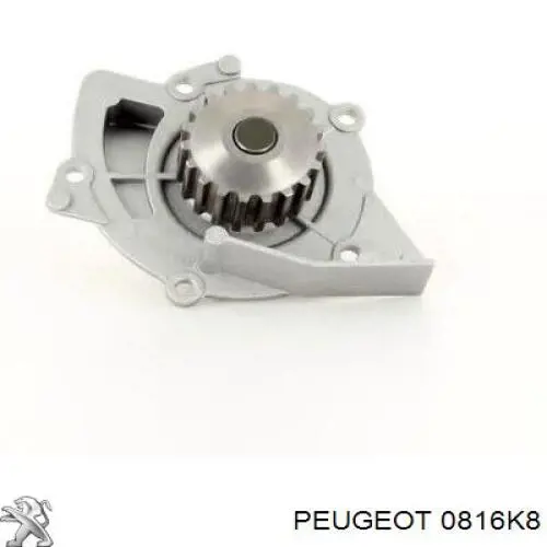 Correa distribución 0816K8 Peugeot/Citroen