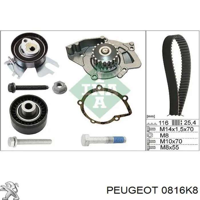 Correa de distribución Peugeot/Citroen 0816K8 precio, desde 50,49 EUR