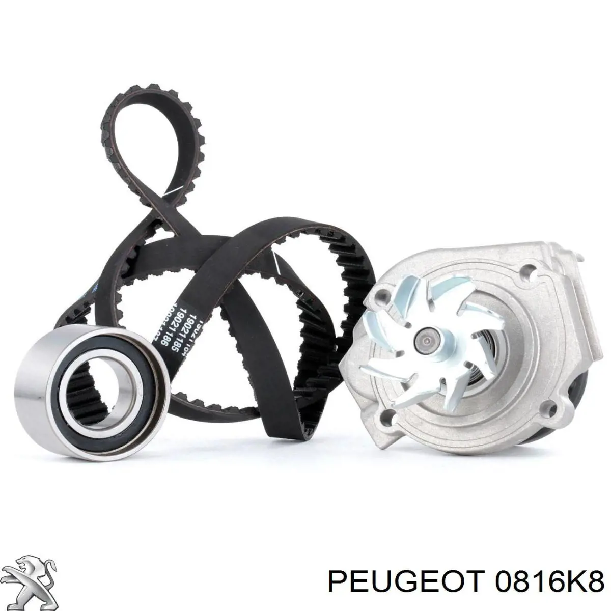 Comprar 0816K8 Peugeot/Citroen Correa distribución