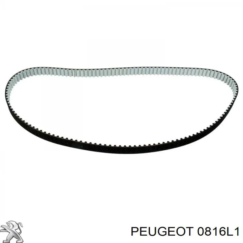 Comprar AV2Q6K288BA Ford Correa distribución