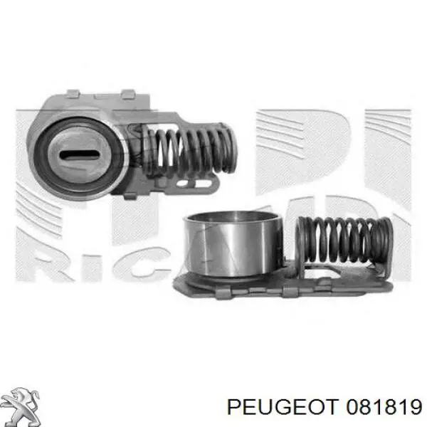 081819 Peugeot/Citroen tensor correa distribución