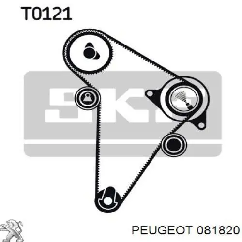 Tensor de la correa de distribución Peugeot/Citroen 81820 precio, desde 32,87 EUR