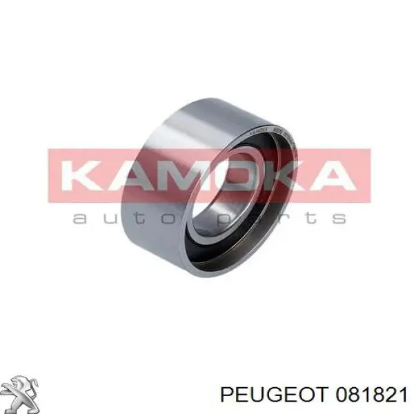 081821 Peugeot/Citroen rodillo, cadena de distribución