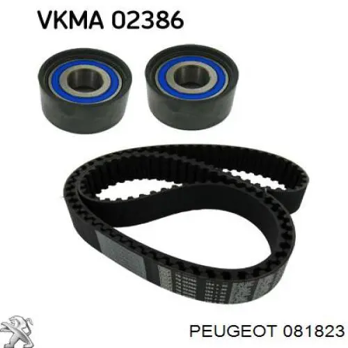 Polea correa distribución Peugeot/Citroen 081823 precio, desde 24,40 EUR