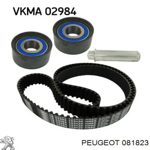 Comprar 081823 Peugeot/Citroen Polea correa distribución