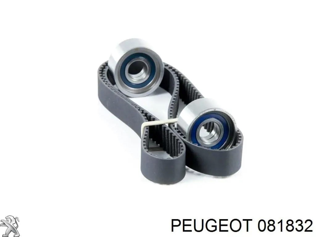 Polea correa distribución Peugeot/Citroen 081832 precio, desde 25,59 EUR