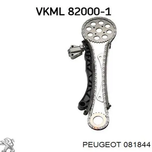 081844 Peugeot/Citroen tensor, cadena de distribución