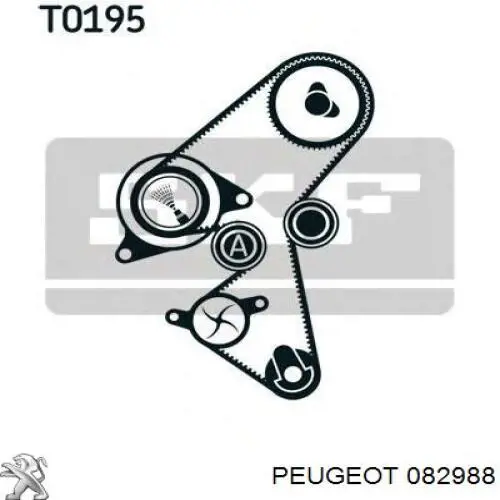 082988 Peugeot/Citroen rodillo, cadena de distribución