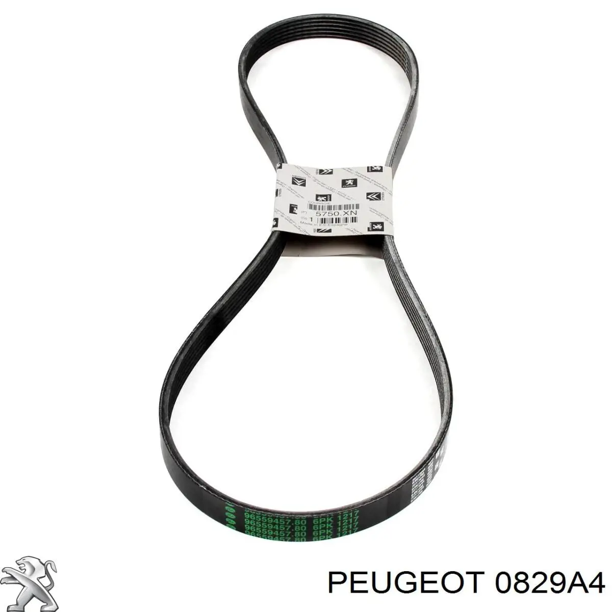 Tensor correa distribución 0829A4 Peugeot/Citroen