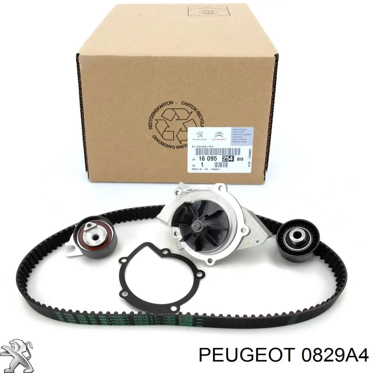 Tensor de la correa de distribución Peugeot/Citroen 0829A4 precio, desde 15,56 EUR