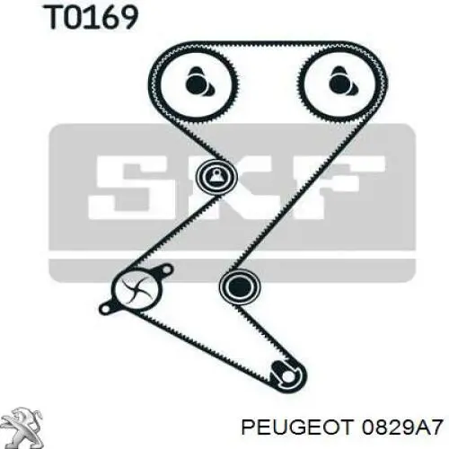 0829A7 Peugeot/Citroen rodillo, cadena de distribución