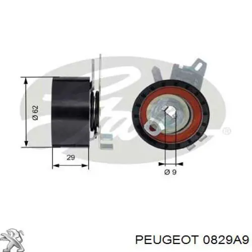 0829A9 Peugeot/Citroen rodillo, cadena de distribución