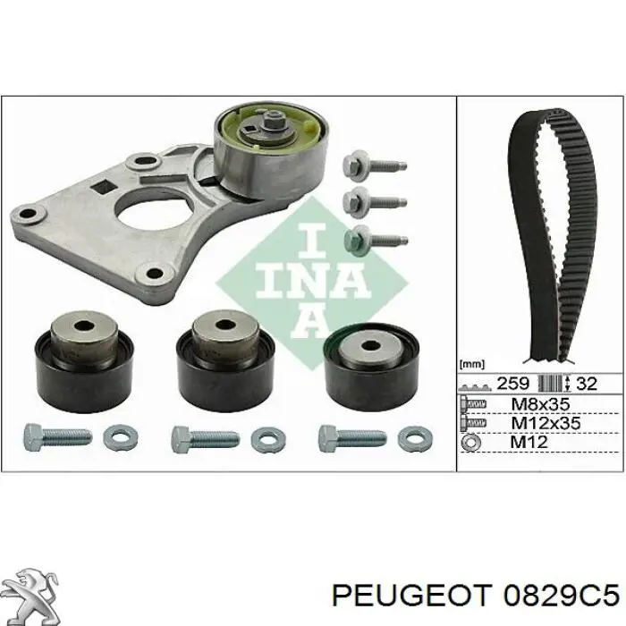 Tensor, correa dentada Peugeot 406 8B